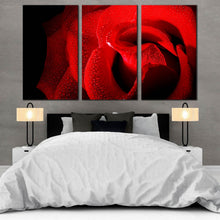 Load image into Gallery viewer, 3 piece red rose close up with black background artwork In Bedroom
