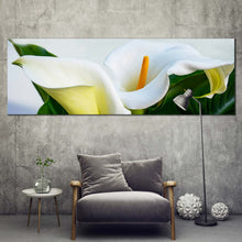 Load image into Gallery viewer, Arum Lily Canvas Wall Art Zantedeschia Aethiopica Green Leaves Canvas Print White Calla Lily Flowers 1 Piece Canvas Set In Living Room
