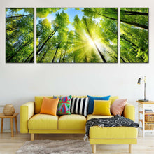 Load image into Gallery viewer, Autumn  Forest  Canvas  Wall  Art  Yellow  Sunrise  Sky  Multi  Panel  Canvas  Looking  Up  Green  Trees  Branches  Living  Room  3  Piece  Canvas  Print For Living Room
