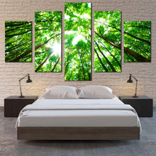 Load image into Gallery viewer, Autumn  Trees  Canvas  Wall  Art  Looking  Up  Green  Trees  Branches  Canvas  Set  White  Sky  Sunrise  Looking  Up    5  Piece  Canvas  Print For Bedroom

