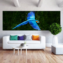 Load image into Gallery viewer, Blue  parrot  macaw  flying  green  forest  1  Piece  Canvas  print In Living Room
