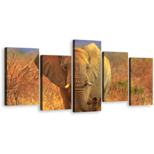 Elephant Scenery Canvas Print, Grey Elephant Walking 5 Piece Wall Art, Isolated Animal in Orange Nature Multiple Canvas