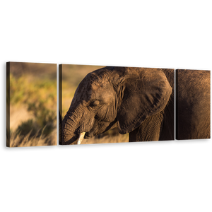 Elephant Smiling Canvas Print, Brown Elephant 3 Piece Canvas Wall Art, Elephant in Green Scenery Multi Canvas Artwork