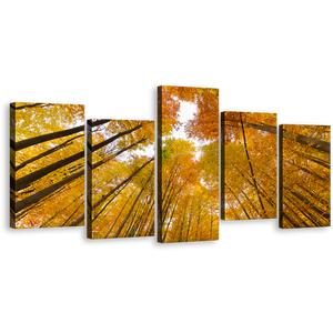 Forest Sky Canvas Wall Art, Orange Trees Autumn Forest Canvas Print, Looking Up Through Forest 5 Piece Multi Canvas