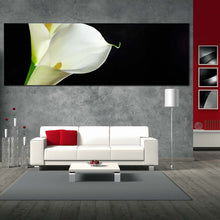 Load image into Gallery viewer, Isolated Flower Canvas Print Calla Lilies 1 Piece Canvas Wall Art White Lily Black Background Canvas Art In Living Room
