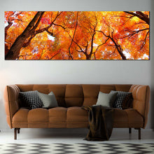 Load image into Gallery viewer, Looking  Up  Canvas  Wall  Art  Brown  Trees  Branches  Canvas  Artwork  Looking  Up  Orange  Trees 1  Piece  Canvas  Print In Living Room
