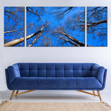 Load image into Gallery viewer, Looking  Up  Canvas  Wall  Art  Trees  Autumn  at  Blue  Sky  Living  Room  3  Piece  Canvas  Looking  Up  Brown  Trees  Branches  Canvas  Print For Living Room
