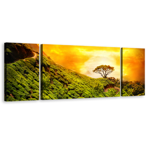 Munnar Landscape Canvas Print, Yellow Sky Kerala Alone Tree Canvas Set, Green Alone Tree 3 Piece Canvas Wall Art