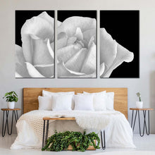 Load image into Gallery viewer, 3pE_White
