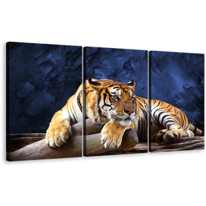 Tiger Wildlife Canvas Wall Art, Beautiful Blue Background Animal 3 Piece Canvas Print, Resting Yellow Tiger Multi Canvas
