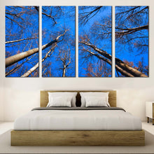 Load image into Gallery viewer, Trees Autumn Canvas Print Brown Trees Branches Canvas Set Looking Up Trees Blue Sky  4 Piece Canvas Wall Art For Your Bedroom
