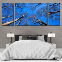 Load image into Gallery viewer, Trees  Branches  Canvas  Wall  Art  Looking  Up  Blue  Sky  Bedroom  3  Piece  Canvas  Brown  Trees  Autumn  Canvas  Print For Bedroom

