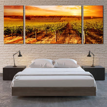 Load image into Gallery viewer, Vineyard Landscape Canvas Wall Art Yellow Orange Vineyard Sunset 3 Piece Split Canvas Beautiful Green Vinyard Scenery Triptych Canvas Print For Bedroom
