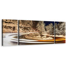 Load image into Gallery viewer, Vortex Light Canvas Wall Art, Grey Trees Winter Lights 3 Piece Canvas Set, White Light Trail Canvas Print, Snow Night Sky Triptych Multiple Canvas
