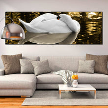 Load image into Gallery viewer, White  beautiful  swan  resting  on  lake  water  large  canvas  print For Living Room
