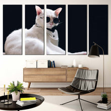 Load image into Gallery viewer, cool cat canvas wall art white cat posing 5 piece canvas cat portrait in black background canvas print For Living room
