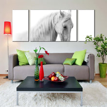 Load image into Gallery viewer, elegant  horse  canvas  print  white  grey  horse  portrait  3  piece  multi  canvas  horse  close  up  canvas  wall  art In Living Room
