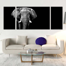 Load image into Gallery viewer, elephant  front  canvas  wall  art  black  and  white  elephant  animal  3  piece  canvas  set  grey  elephant  art  print For Living Room
