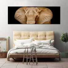 Load image into Gallery viewer, elephant  front  canvas  wall  art  black  background  isolated  elephant  1  piece  canvas  brown  elephant  close  up  canvas  print For Bedroom
