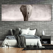 Load image into Gallery viewer, elephant  front  canvas  wall  art  elephant  black  and  white  1  piece  canvas  print  grey  elephant  portrait  canvas  artwork For Bedroom
