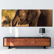 Load image into Gallery viewer, elephant  profile  canvas  wall  art  brown  elephant  smiling  panoramic  canvas  print  elephant  green  scenery  wide  canvas For Living Room
