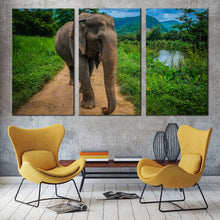 Load image into Gallery viewer, elephant scenery canvas wall art grey elephant smile 3 piece canvas print elephant in green nature multi canvas For Living Room

