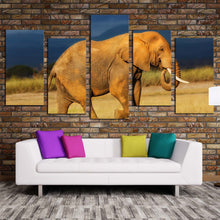 Load image into Gallery viewer, elephant scenery canvas wall art orange african elephant 5 piece multi canvas artwork elephant art print In Living Room
