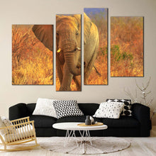 Load image into Gallery viewer, elephant walking canvas wall art elephant in orange nature 4 piece multiple canvas grey elephant front canvas print in living room
