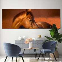 Load image into Gallery viewer, gelding  horse  canvas  wall  art  brown  horse  in  nature  canvas  artwork  chestnut  horse  in  orange  field  1  piece  canvas  print For Living Room
