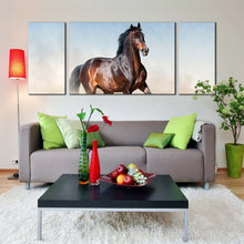 Load image into Gallery viewer, horse  dust  canvas  print  horse  white  desert  canvas  set  brown  stallion  horse  portrait  3  piece  canvas  wall  art In Living Room
