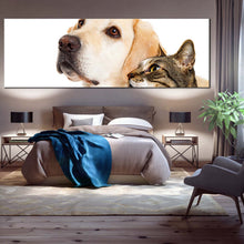 Load image into Gallery viewer, labrador  dog  canvas  wall  art  white  background  dog  and  cat  1  piece  canvas  print  brown  cat  isolated  wide  canvas For Bedroom
