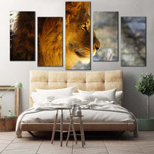 Load image into Gallery viewer, lion animal canvas wall art lion nature background 5 piece canvas print yellow orange lion profile multi canvas artwork For Your Bedroom
