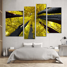 Load image into Gallery viewer, looking up through yellow canopy of deciduous trees 4 Panel artwork 

