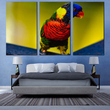 Load image into Gallery viewer, parrot portrait canvas wall art parrot sitting 3 piece canvas set colorful parrot triptych canvas print For Bedroom
