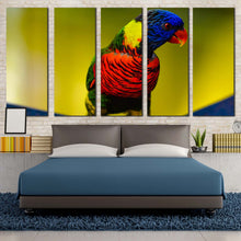 Load image into Gallery viewer, 5pD_Colorful
