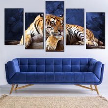 Load image into Gallery viewer, real looking resting tiger 5 piece canvas print For Your Living Room
