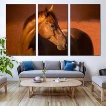 Load image into Gallery viewer, stallion horse canvas wall art elegant brown horse canvas print horse in orange field 3 piece multiple canvas In Living Room
