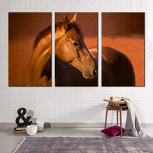Load image into Gallery viewer, stallion horse canvas wall art elegant brown horse canvas print horse in orange field 3 piece multiple canvas
