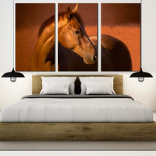 Load image into Gallery viewer, stallion horse canvas wall art elegant brown horse canvas print horse in orange field 3 piece multiple canvas For Bedroom
