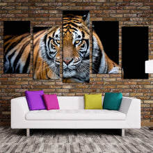 Load image into Gallery viewer, tiger front canvas print tiger looking 5 piece canvas wall art orange white tiger wildlife multiple canvas For Living Room
