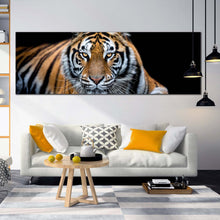 Load image into Gallery viewer, tiger  wildlife  canvas  wall  art  orange  white  tiger  close  up  canvas  print  tiger  portrait  1  piece  canvas  artwork In Living Room
