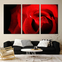 Load image into Gallery viewer, triptych red rose close up with black background canvas print For Your Living Room
